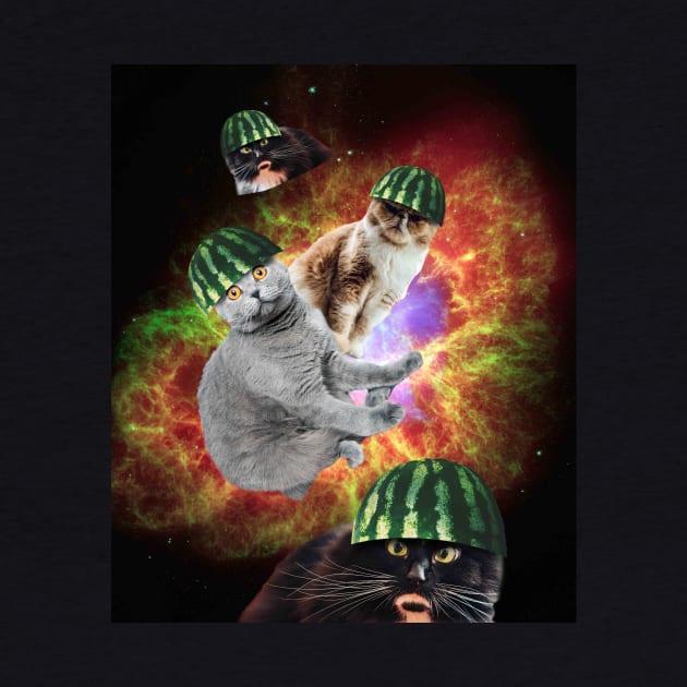 Watermelon Cat Space Galaxy Cats by Random Galaxy